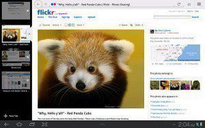 Firefox Firefox