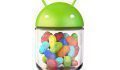 Jelly Bean