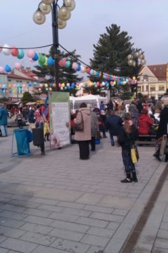 IMAG0053