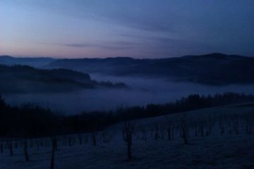 IMAG0175