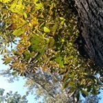 IMAG0022