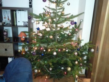 IMG_20110102_121359
