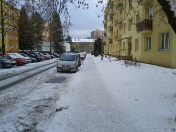 IMG_20110102_133757
