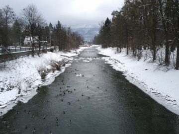 IMG_20110102_135850
