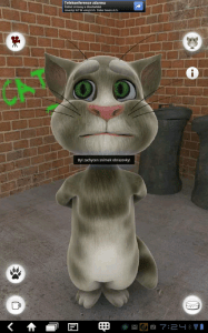 Talking Tom Cat