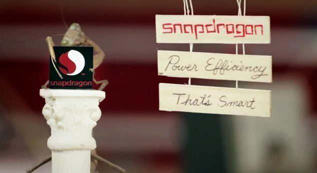 snapdragon snapdragon