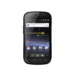 nexus