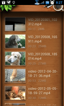 QQPlayer