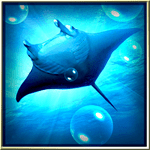 nexusae0_thumb_thumb21 nexusae0_thumb_thumb21