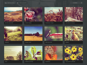 images