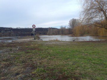 IMG_20121227_132008