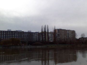 IMG_20121227_132842