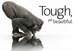 gorilla glass top