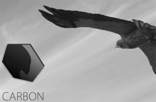 carbon_ico carbon_ico