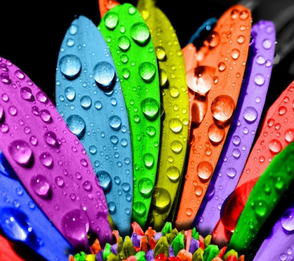 color flower