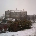 dsc 0076