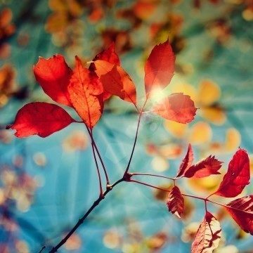 Tapeta ze Samsungu Galaxy S4
