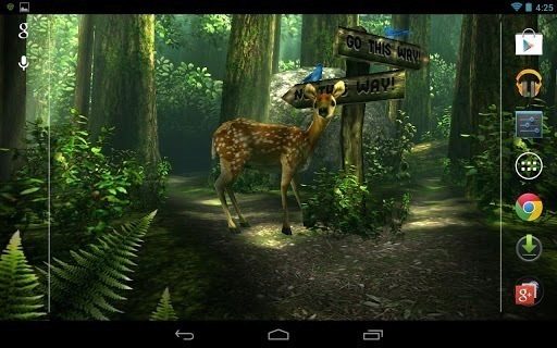 forest hd main forest hd main