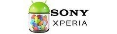 Sony-Xperia-Jelly-Bean-Logo