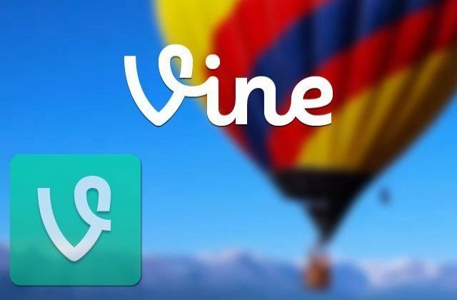 vine ico