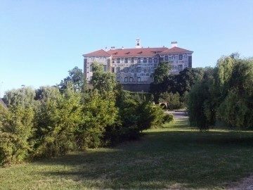 IMG_20130722_183643