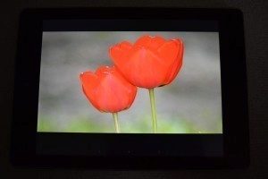 Acer-Iconia-Tab-A1-810-displej (1)