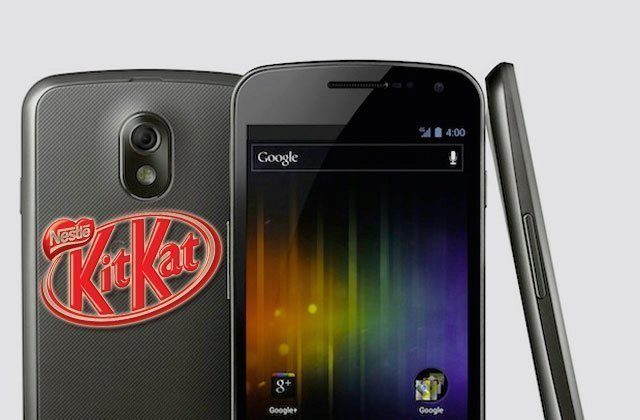 android44 jelly icp