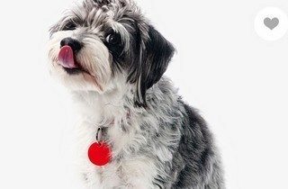 how to find lost things chipolo to help you find your lost items
