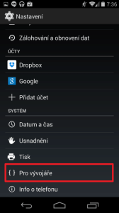 V nastavení jděte do sekce Pro vývojáře