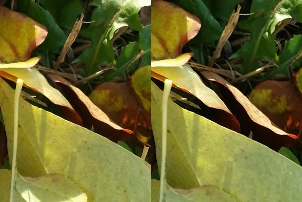 Note 2 vs Note 3 porovnání 7