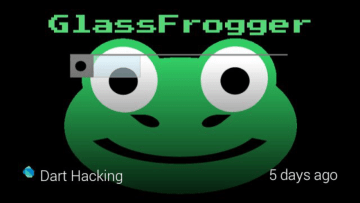 Google Glass Frogger (1)