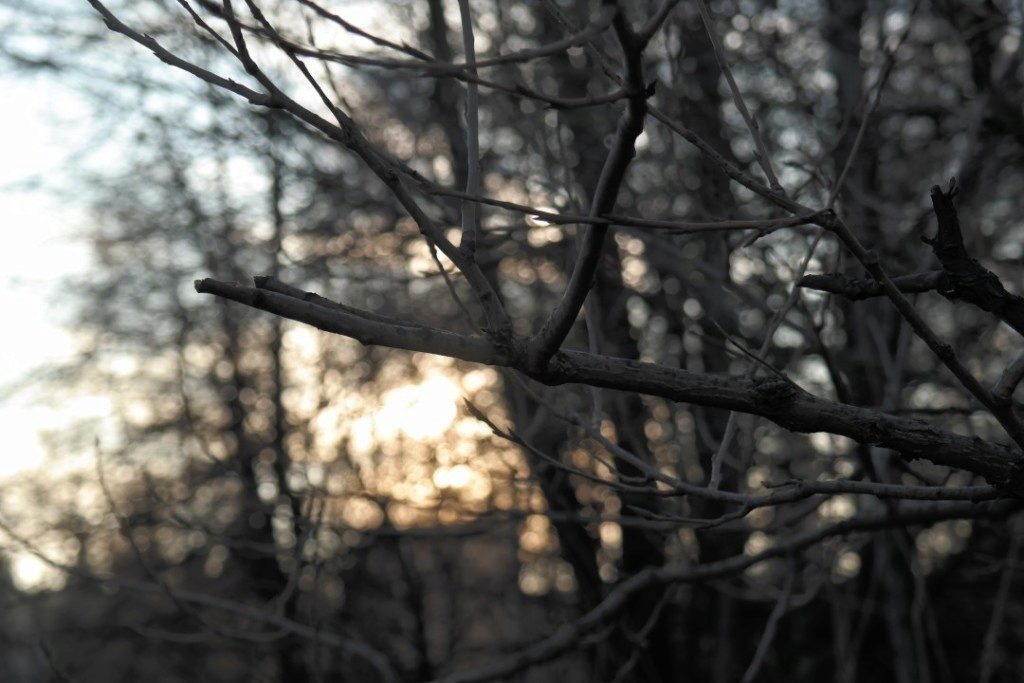 samsung galaxy nx ukazka protisvetlo a bokeh