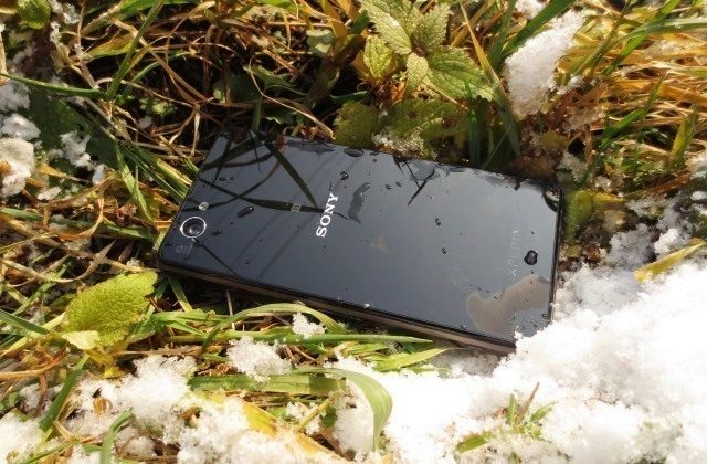 Sony Xperia Z1 Compact – cover tráva