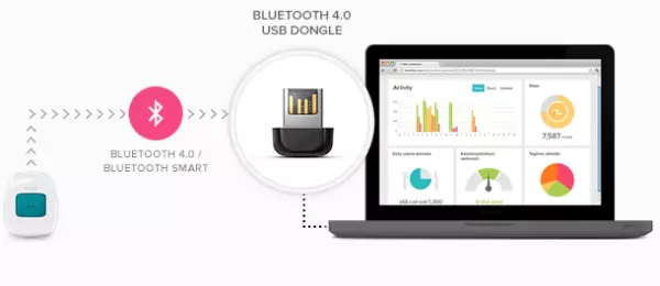 Fitbit Flex USB dongle 2