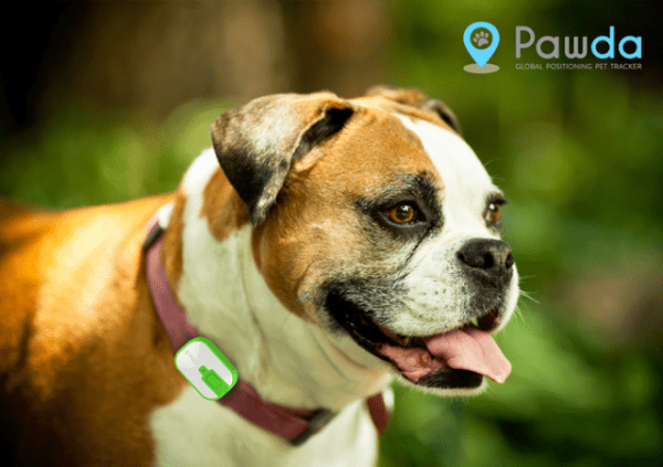 Pawda - GPS tracker pro domácí mazlíčky