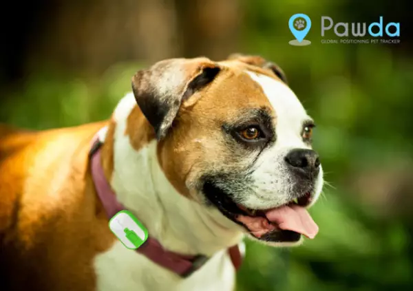 Pawda - GPS tracker pro domácí mazlíčky