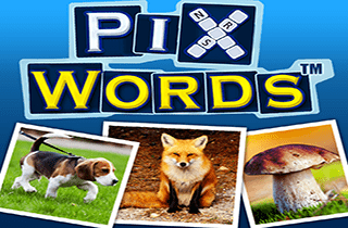 PixWords game image help