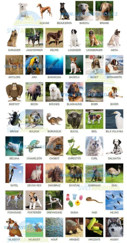 pixwords_answers_help_zvirata pixwords_answers_help_zvirata