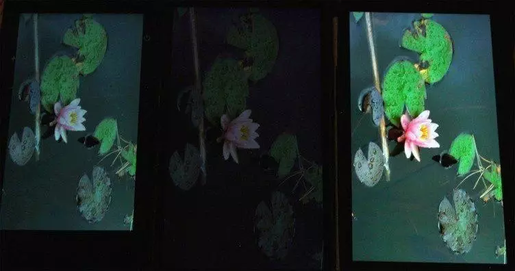 Samsung Galaxy S5 porovnání displejů 2
