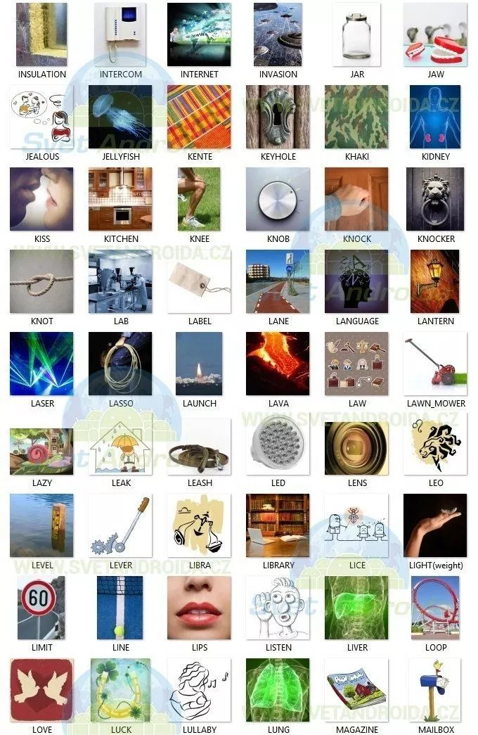 4154275417_1