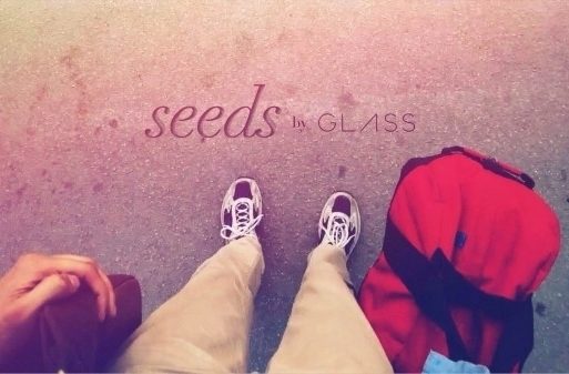google glass seeds