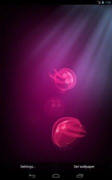 Live JellyFish 1