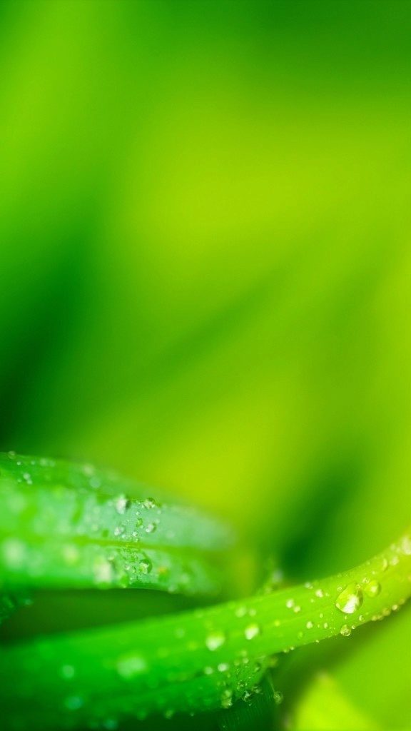zte z5s wallpaper 17