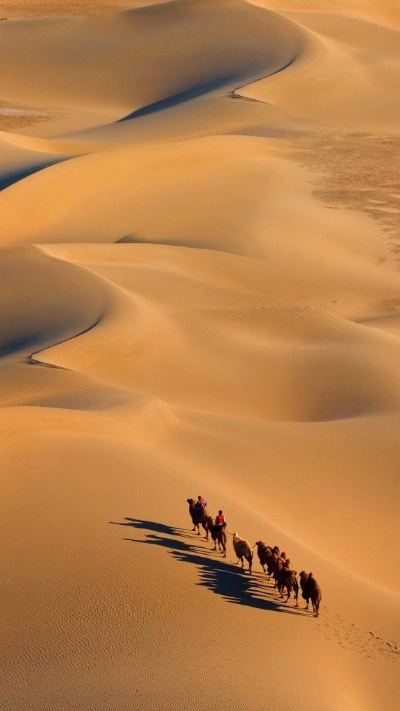 zte z5s wallpaper 19