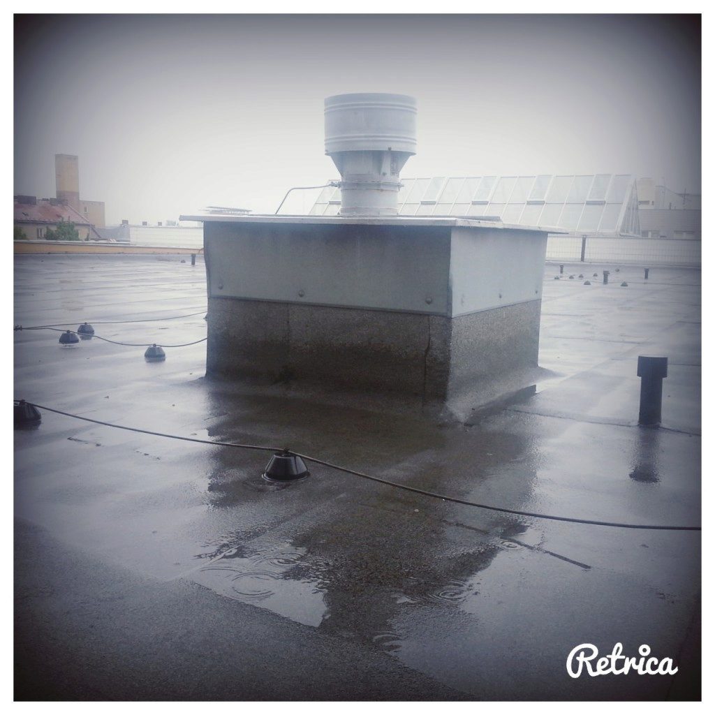 img 20140821 0934011