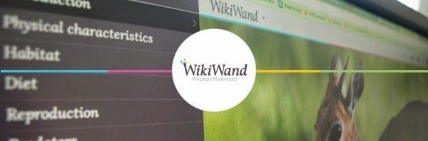 wiki wand 1