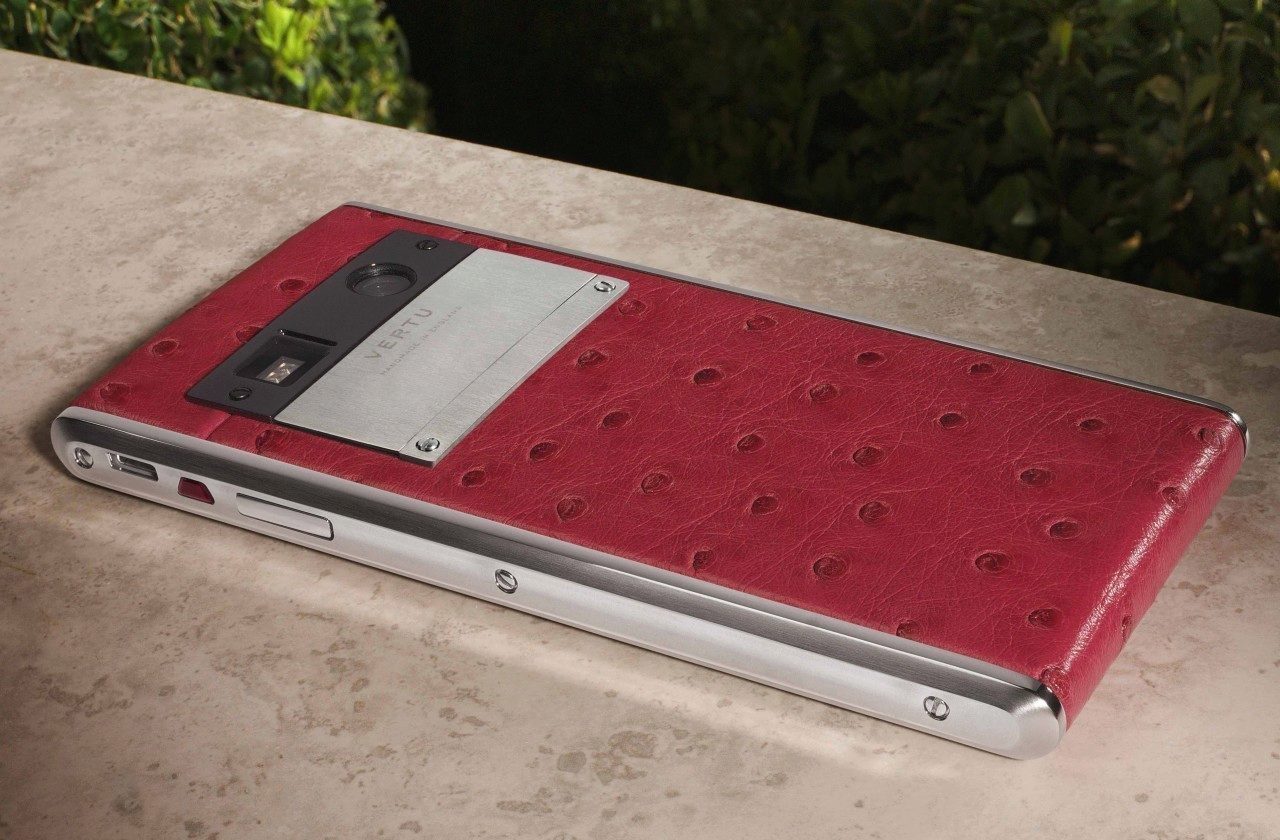 VERTU_Aster_Garden_RASPShot11_cover VERTU_Aster_Garden_RASPShot11_cover