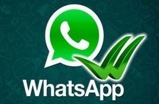 whatsapp hlavni whatsapp hlavni