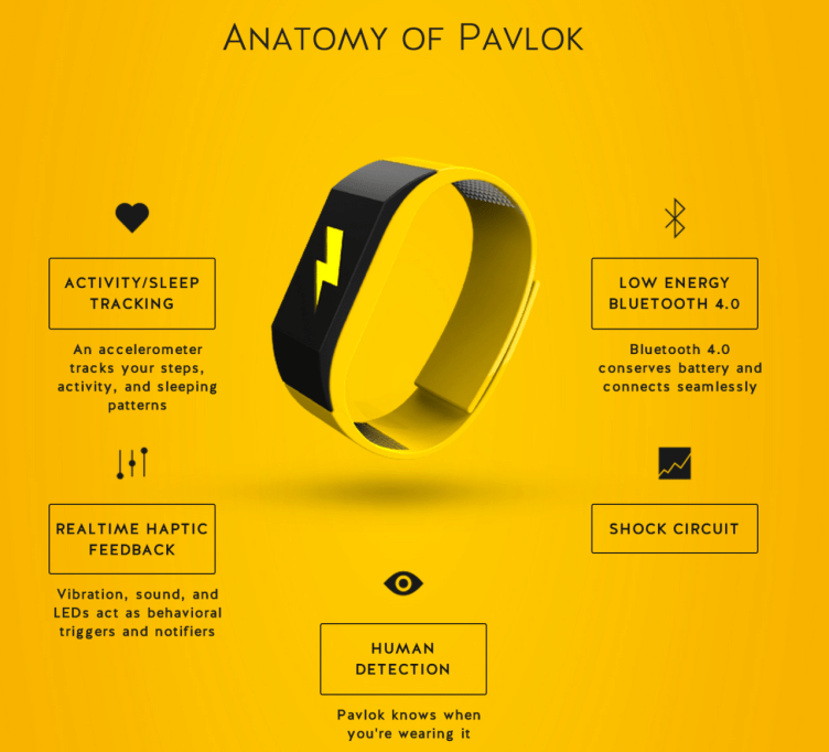 V2_PAVLOK
