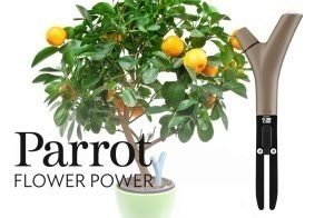 Parrot Flower Power – mějte vaše rostlinky pod kontrolou (recenze)